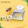 Queen Bee Catcher Cage